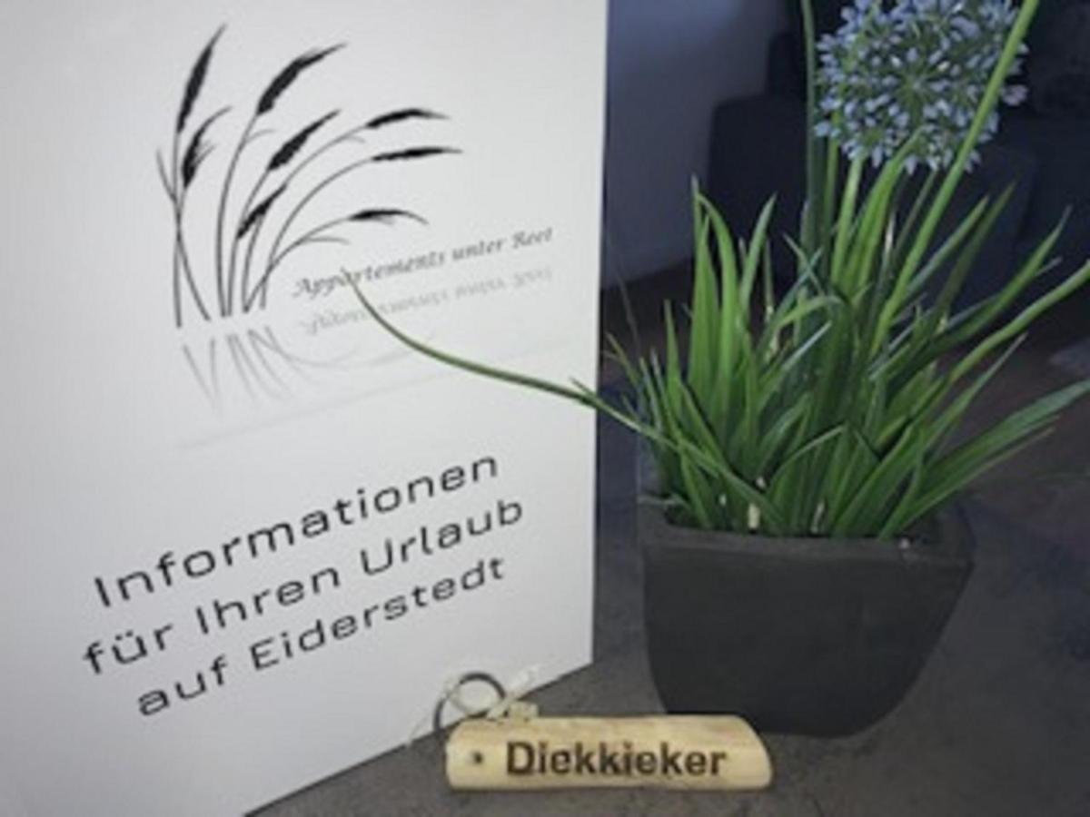 Appartements Unter Reet Tumlauer Koog Esterno foto